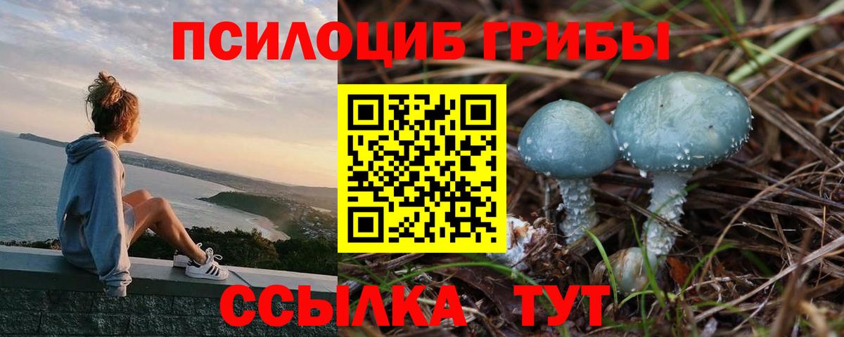 Псилоцибиновые грибы ЛСД  Вход с VPN  Сургут 